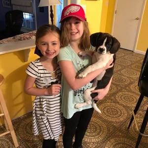 Meet your Posher, Robert